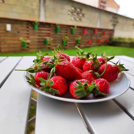 With Private Yard And Bbq Apartment Varna